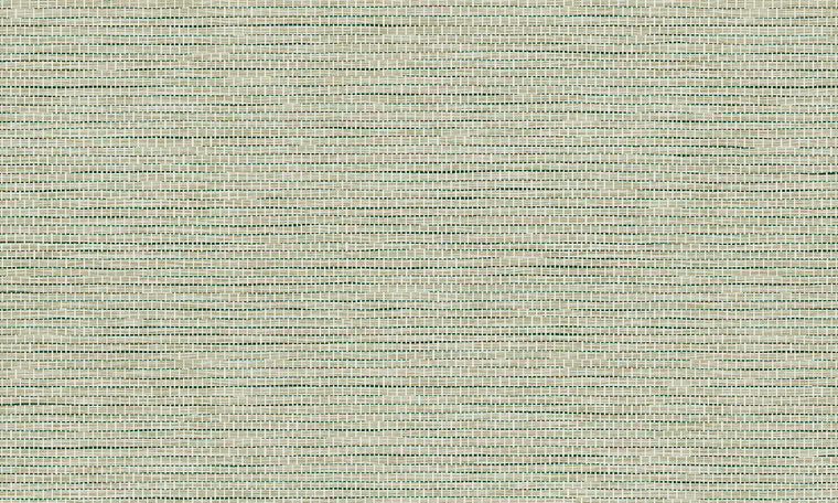 ARTE Le Papier Tissé behang Pistache