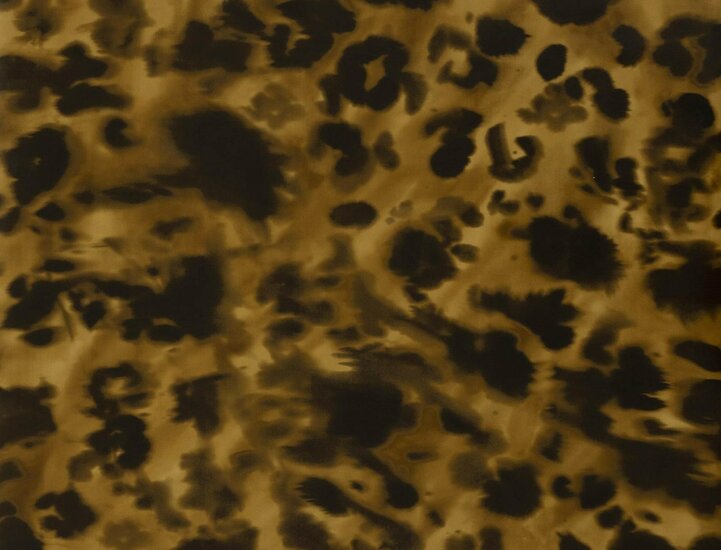 jim thompson wildcat sepia behang jt021070003