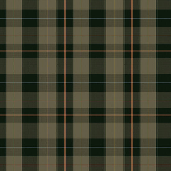 Mind the Gap Equestrian Plaid Behang WP30109