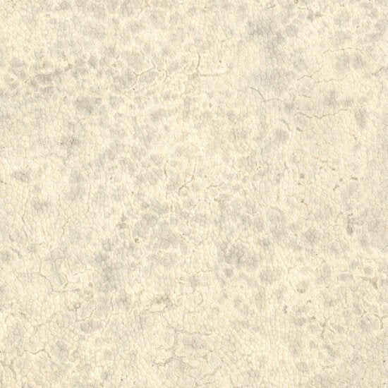 Nobilis Moon Behang DPN20