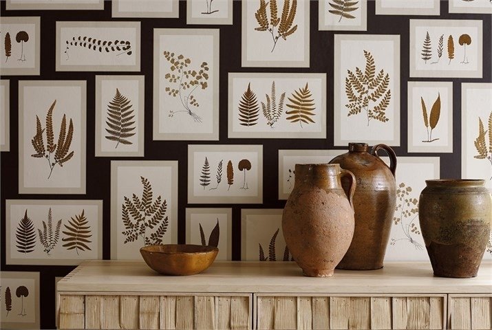 Behang Sanderson Fern Gallery Woodland Walk Luxury By Nature sfeer