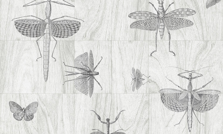 Behang ARTE Wings 42001 - Ligna Behangpapier Collectie Luxury By Nature,jpg