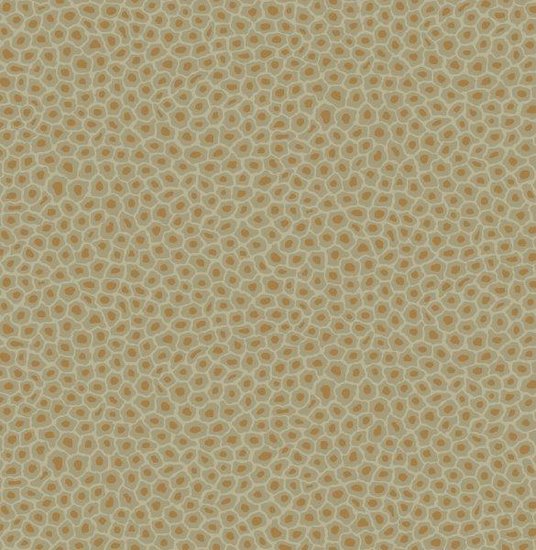 Cole & Son Senzo Spot Behang Ardmore Cole & Son 109-6029