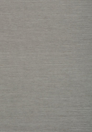 Shang Extra Fine Sisal Behang Thibaut Grasscloth Resource Volume 4 Steel T72838