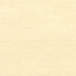 Shang Extra Fine Sisal Behang Thibaut Grasscloth Resource Volume 4 T5029 Vanilla