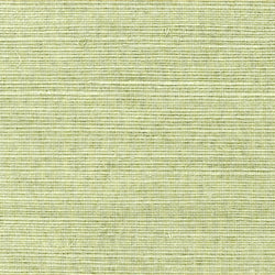 Shang Extra Fine Sisal Behang Thibaut Grasscloth Resource Volume 4 T5016 Willow