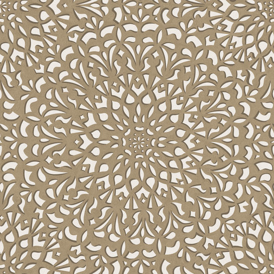 Medina Behang Cole & Son