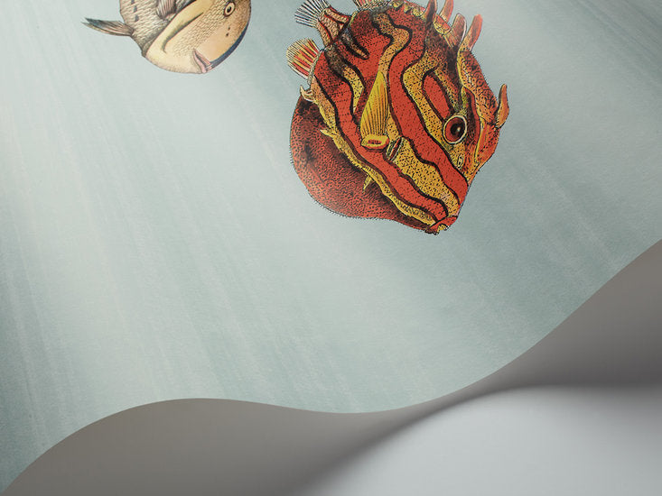 Fornasetti Acquario behang Cole and Son 97-10030