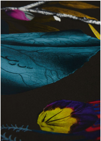 Kit Miles Biophillia Behang 8941 2003