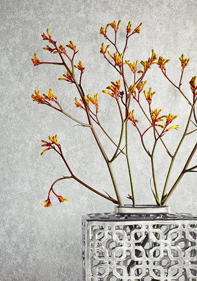 Thibaut Faux Tortoise Behang - Texture Resource 5 Collectie