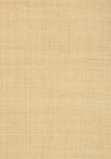Thibaut Carolina Raffia Behang Grasscloth Resource Volume 3 collectie T13040