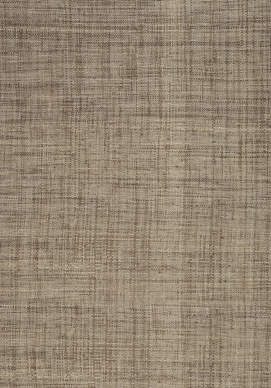 Thibaut Carolina Raffia Behang Grasscloth Resource Volume 3 collectie T41122