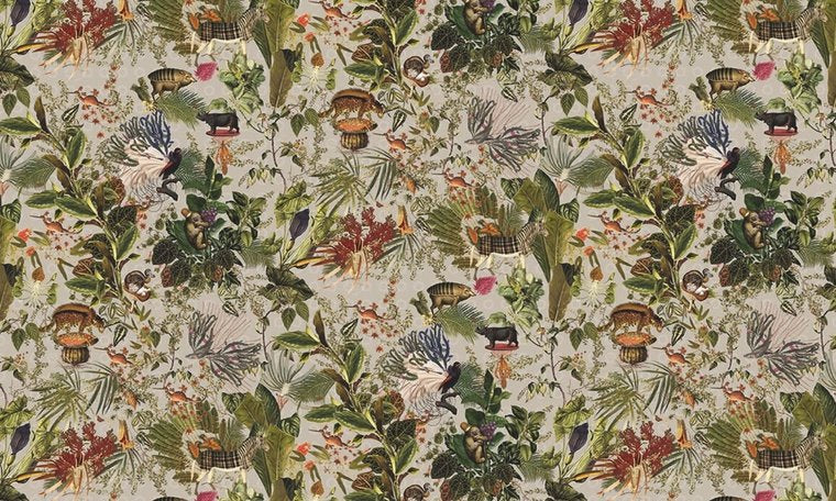 Moooi Menagerie of Extinct Animals behang raven arte MO2073