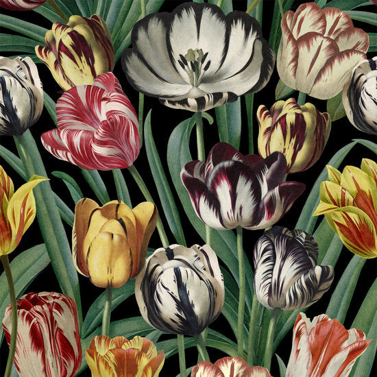 Mind the Gap Tulipa Behang Tulpen Designer Wallpaper 2017 WP20178
