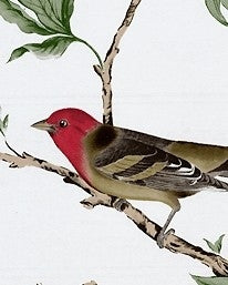 Villa Fiori behang gaston y daniela luxury by nature