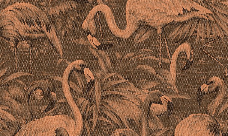 ARTE Flamencos Andinos Behang 97611 - LAB COLOUR THE WORLD