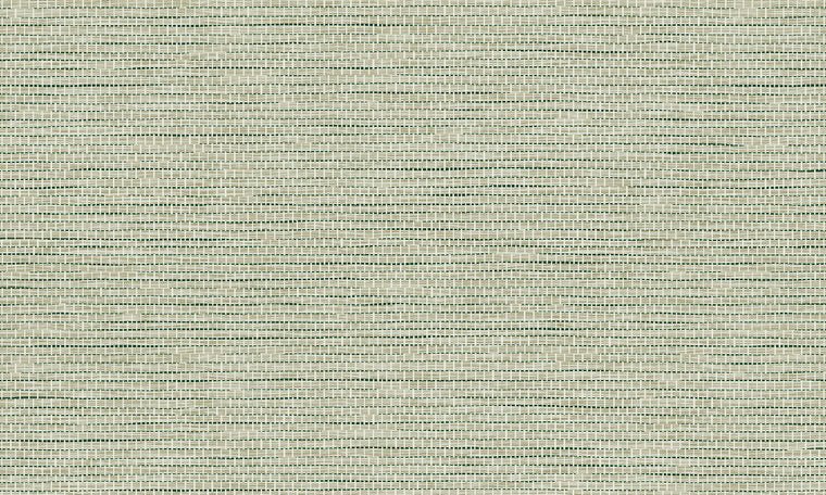 ARTE Le Papier Tissé Behang Pistache 60507 - LAB COLOUR THE WORLD