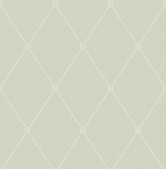 Cole & Son Archive Anthology Large Georgian Rope Trellis behang 100/13066 - LAB COLOUR THE WORLD