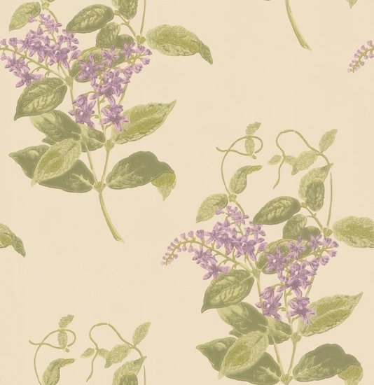Cole & Son Archive Anthology Madras Violet behang 100/12056 - LAB COLOUR THE WORLD
