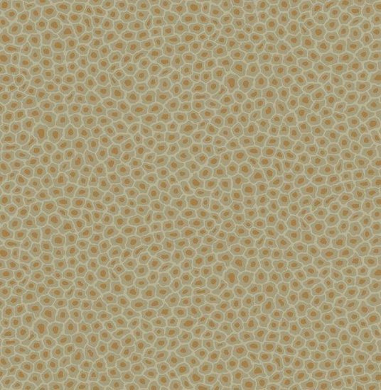 Cole & Son Ardmore Collection Senzo Spot behang 109/6029 - LAB COLOUR THE WORLD