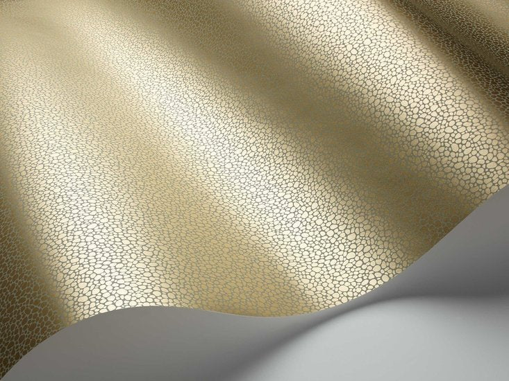 Cole & Son Curio Goldstone behang 107/9041 - LAB COLOUR THE WORLD