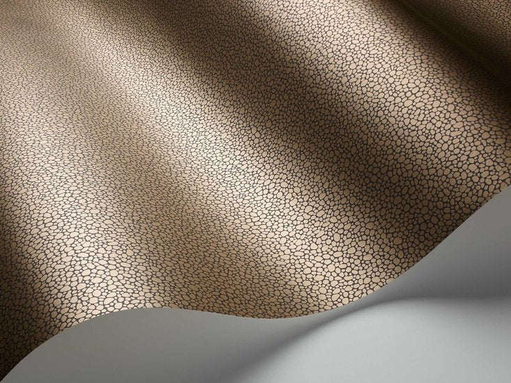 Cole & Son Curio Goldstone behang 107/9044 - LAB COLOUR THE WORLD