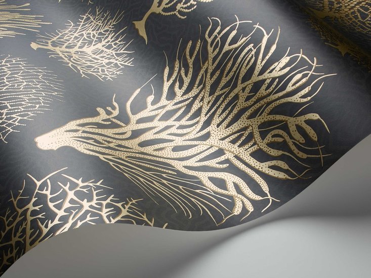Cole & Son Curio Seafern behang 107/2006 - LAB COLOUR THE WORLD