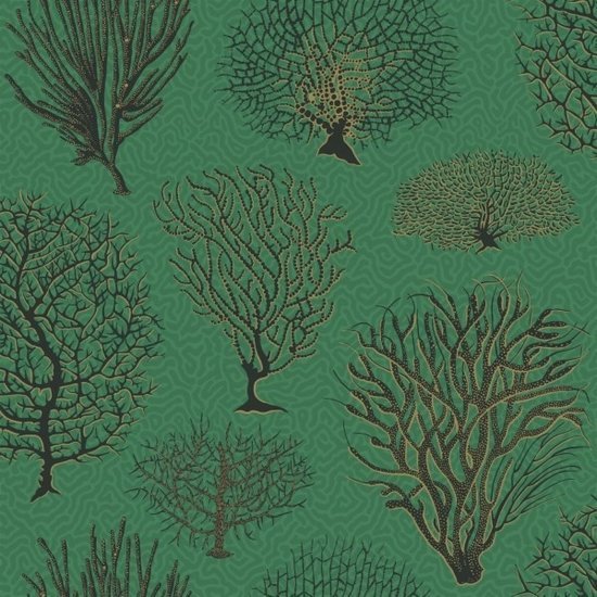 Cole & Son Curio Seafern behang 107/2007 - LAB COLOUR THE WORLD