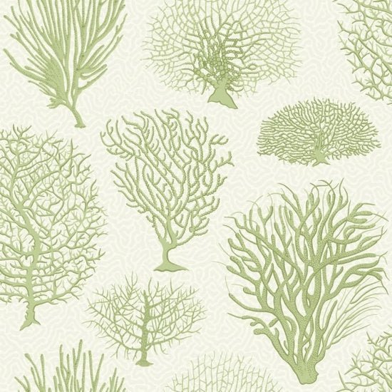 Cole & Son Curio Seafern behang 107/2008 - LAB COLOUR THE WORLD