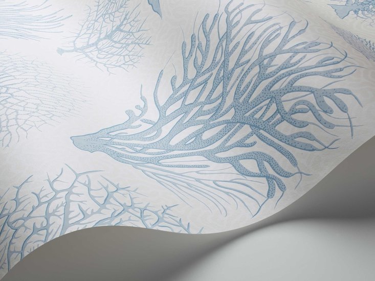 Cole & Son Curio Seafern behang 107/2009 - LAB COLOUR THE WORLD