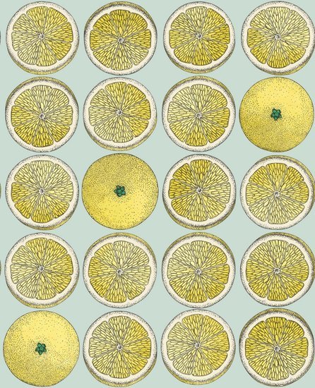 Cole & Son Fornasetti Selection Arance behang 114/24048 - LAB COLOUR THE WORLD