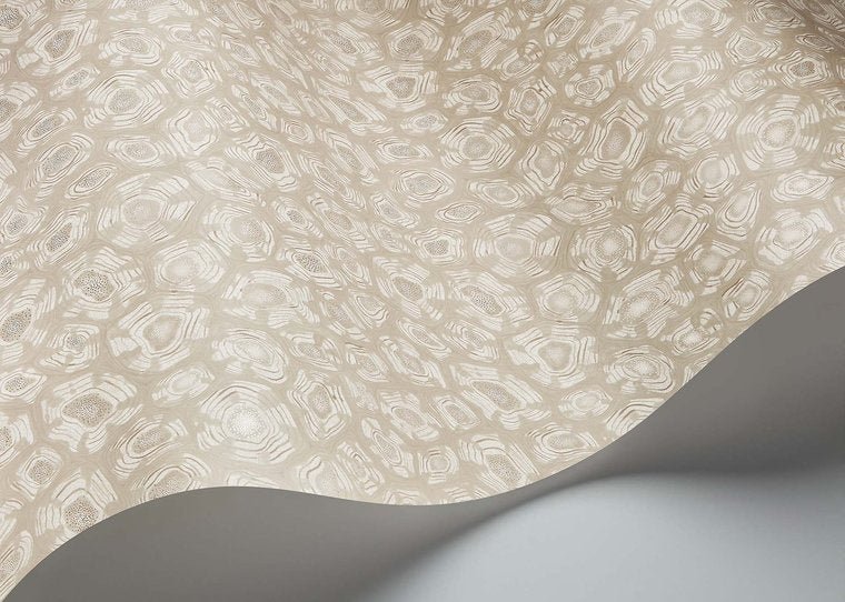 Cole & Son Savanna Shell Behang 119/4021 - LAB COLOUR THE WORLD