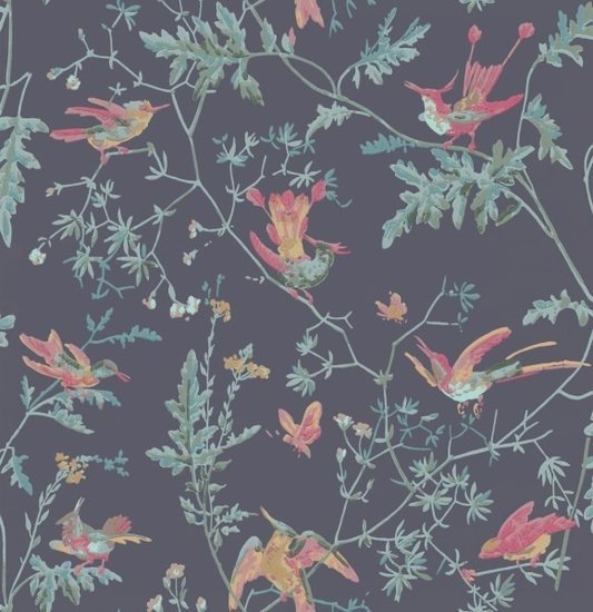 Cole & Son Selection of Hummingbirds Hummingbirds behang 100/14068 - LAB COLOUR THE WORLD