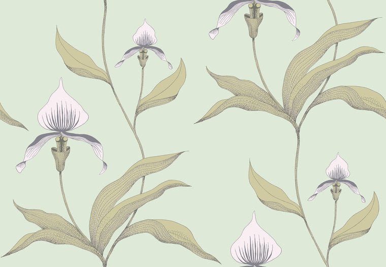Cole & Son The Contemporary Selection Orchid behang 66/4028 - LAB COLOUR THE WORLD