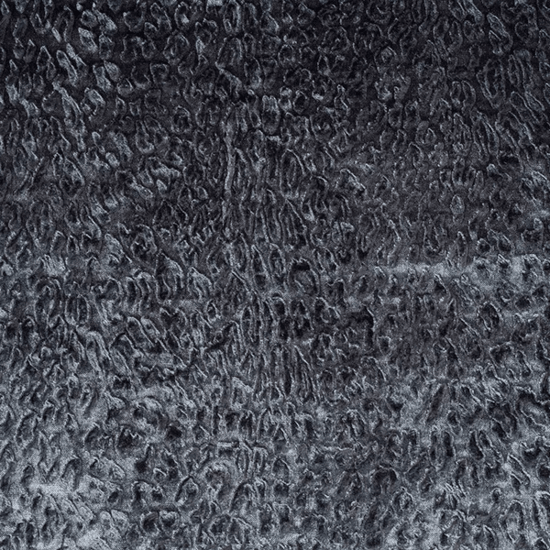 Dutch Walltextile Co. Behang Bobcat 34 - LAB COLOUR THE WORLD