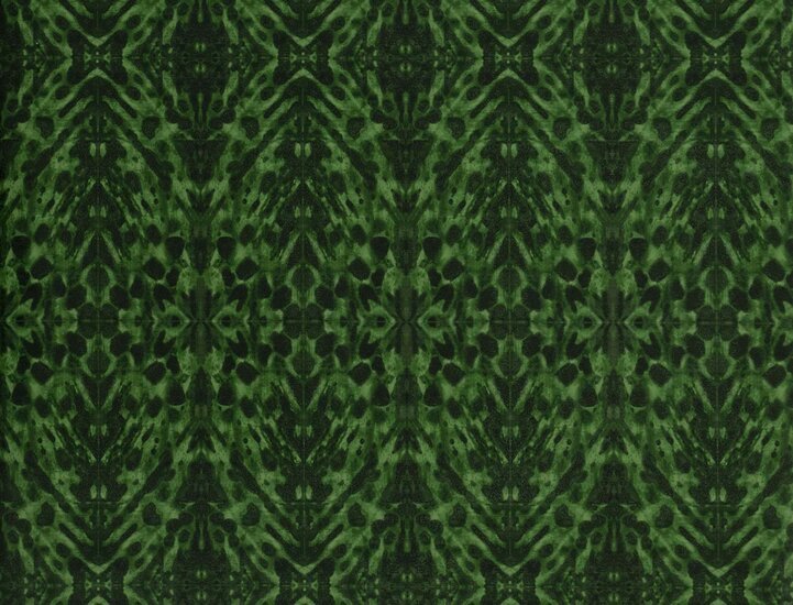 Jim Thompson Tortoiseshell Behang Emerald JT021067004 - LAB COLOUR THE WORLD