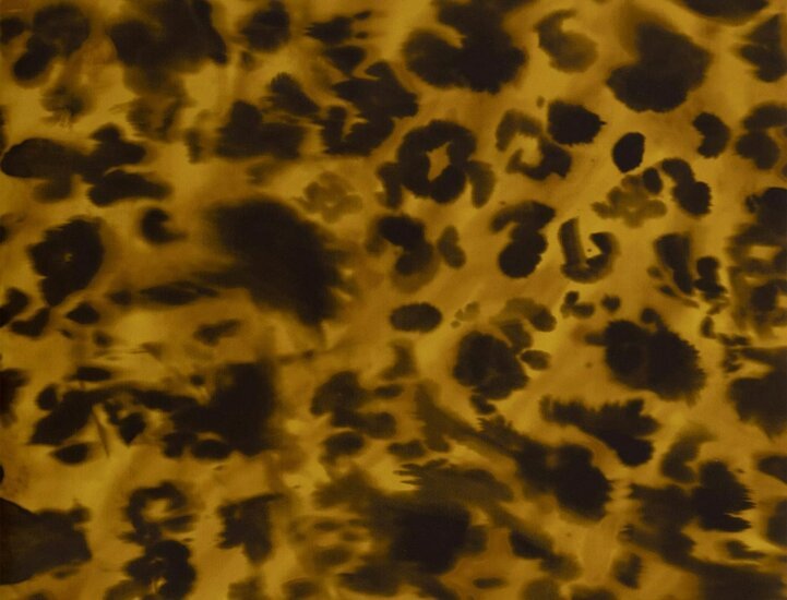 Jim Thompson Wildcat Behang Gold JT021070002 - LAB COLOUR THE WORLD