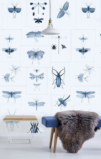 Mind The Gap Entomology Behang WP20235 - LAB COLOUR THE WORLD