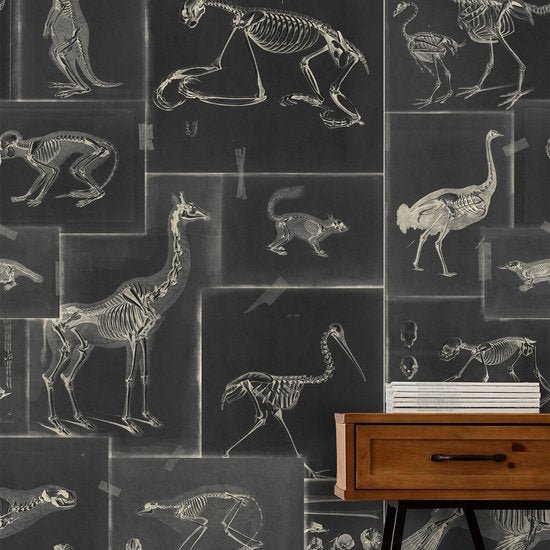 Mind The Gap Zooarchaeology Behang WP20237 - LAB COLOUR THE WORLD