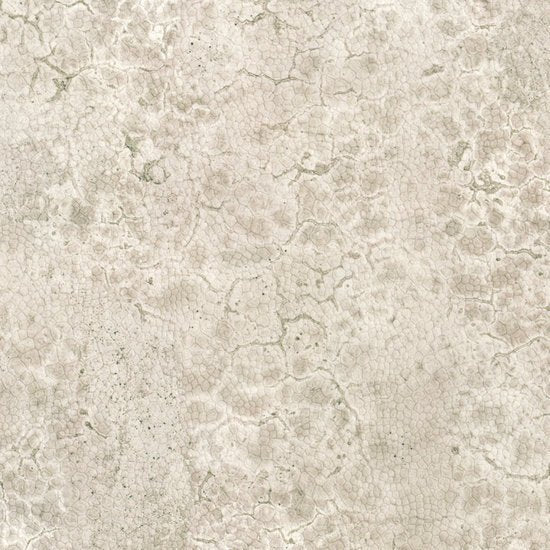 Nobilis Moon Behang DPN22 - LAB COLOUR THE WORLD