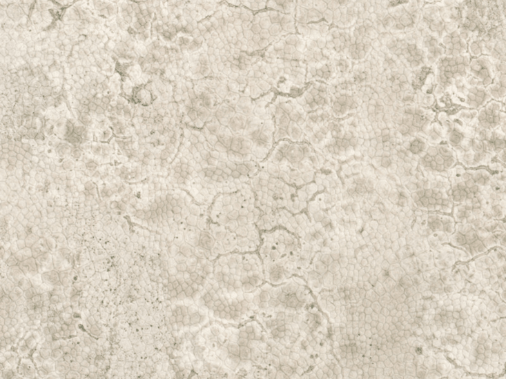 Nobilis Moon Behang DPN22 - LAB COLOUR THE WORLD