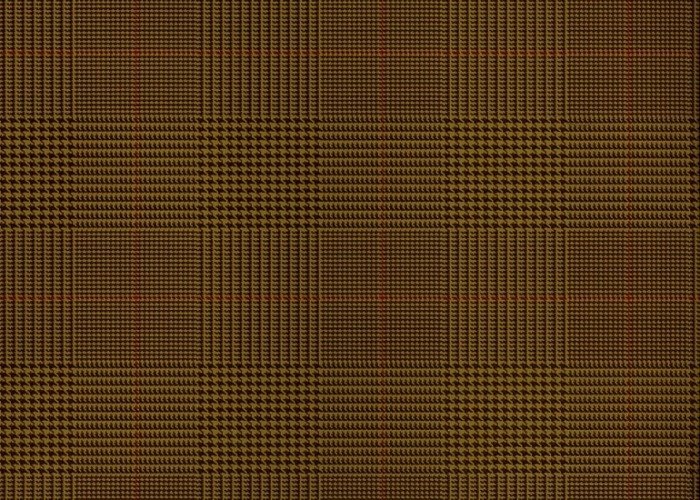 Ralph Lauren Egarton Plaid Behang PRL017/16 - LAB COLOUR THE WORLD