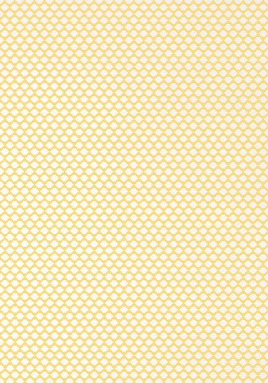 Thibaut Bijou Behang T75505 - LAB COLOUR THE WORLD