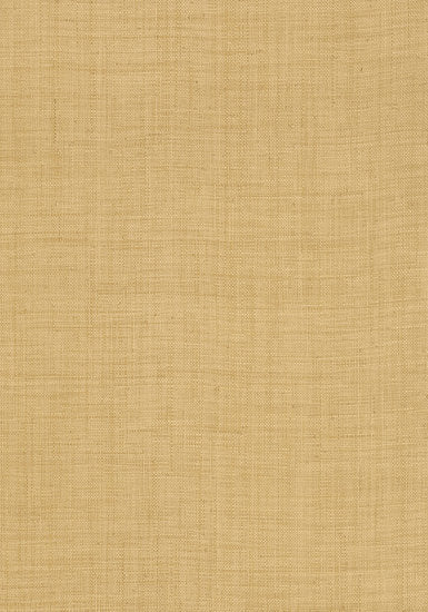 Thibaut Carolina Raffia Behang T13039 - LAB COLOUR THE WORLD
