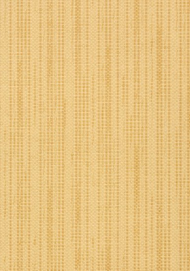 Thibaut Santa Barbara Behang T41101 - LAB COLOUR THE WORLD