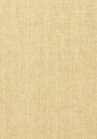 Thibaut Tobago Weave Behang T57108 - LAB COLOUR THE WORLD