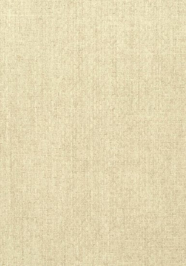 Thibaut Tobago Weave Behang T57111 - LAB COLOUR THE WORLD
