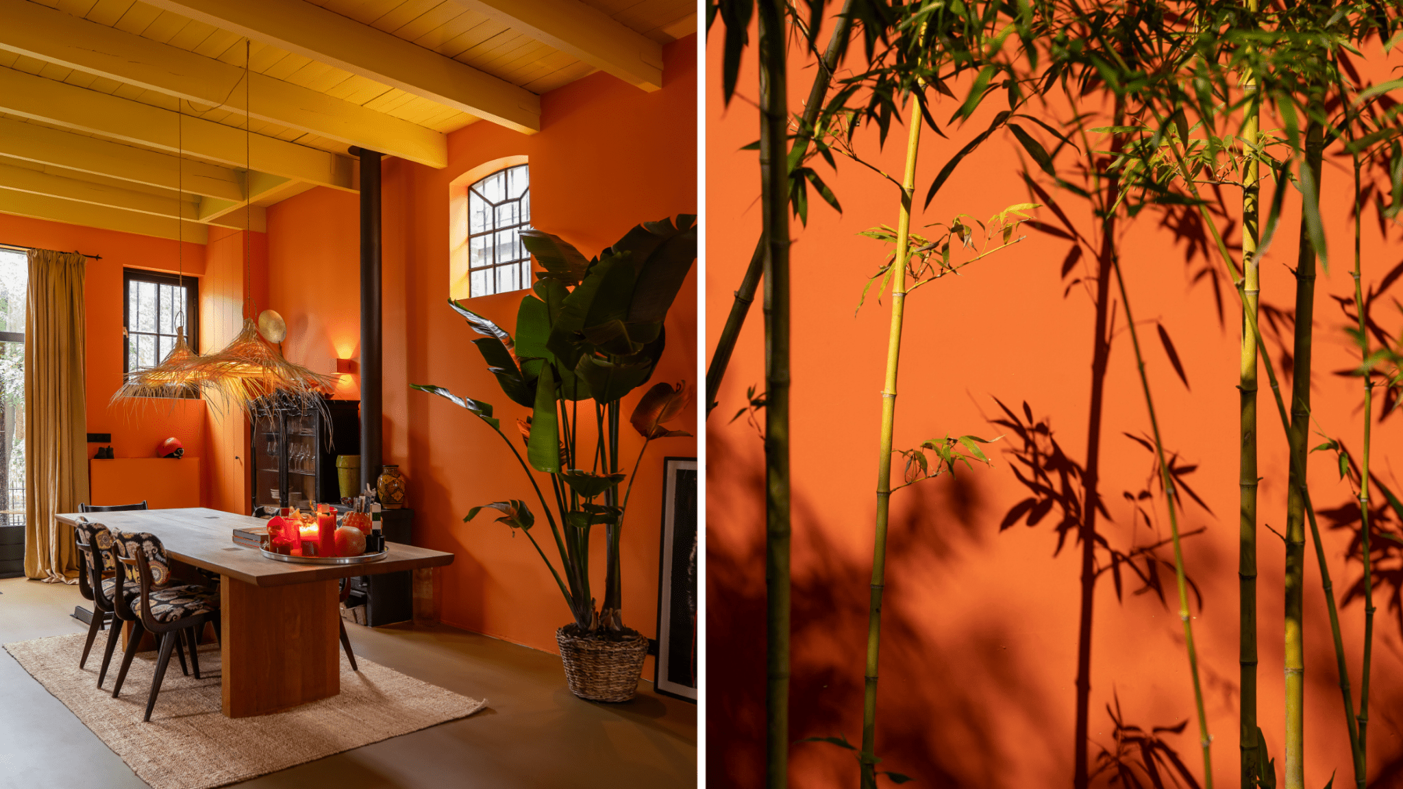 HET HELE JAAR ZON MET DE TRENDKLEUR ORANJE - LAB COLOUR THE WORLD