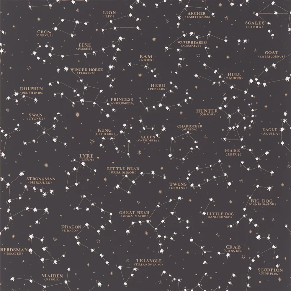 Ralph Lauren Starry Sky Behang PRL5041/02
