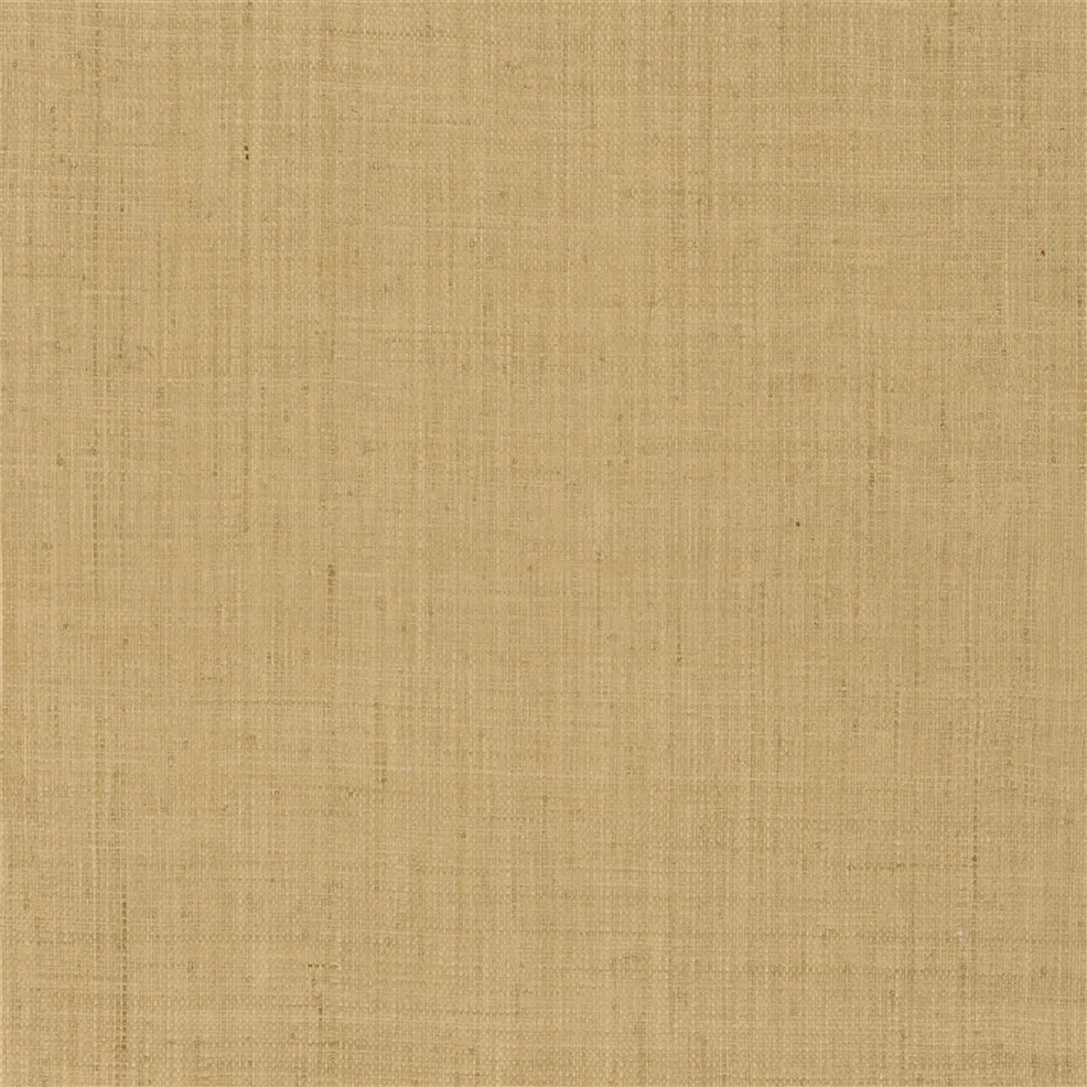 Ralph Lauren Lantana Weave Behang PRL5085/06